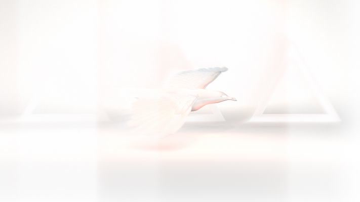 Reconnecting with nature